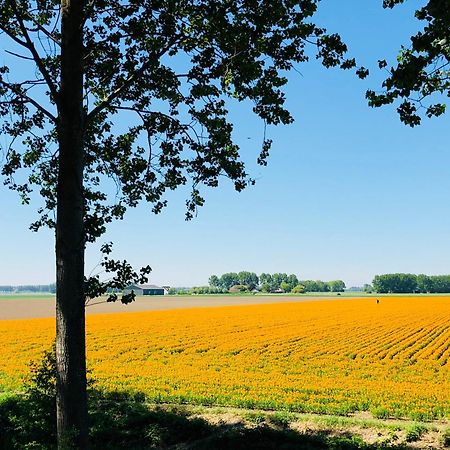 Bed and Breakfast Slapen Bij De Zeeuwse Lala IJzendijke Exteriér fotografie