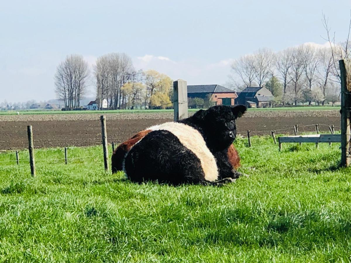 Bed and Breakfast Slapen Bij De Zeeuwse Lala IJzendijke Exteriér fotografie