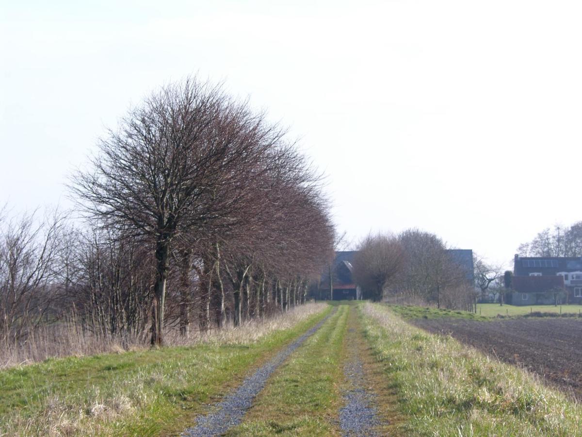 Bed and Breakfast Slapen Bij De Zeeuwse Lala IJzendijke Exteriér fotografie