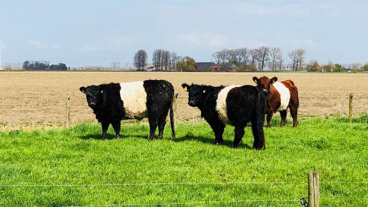 Bed and Breakfast Slapen Bij De Zeeuwse Lala IJzendijke Exteriér fotografie
