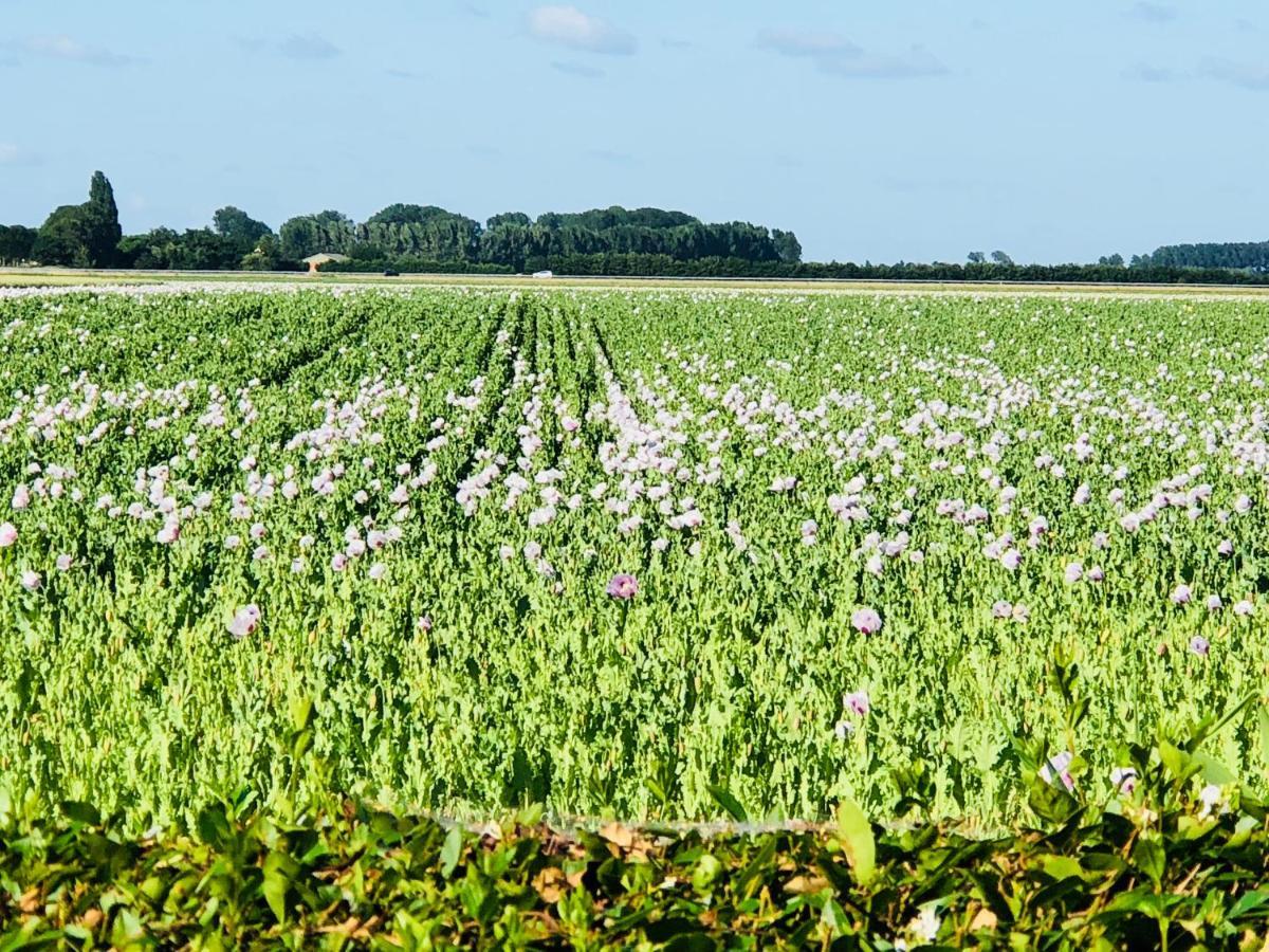 Bed and Breakfast Slapen Bij De Zeeuwse Lala IJzendijke Exteriér fotografie